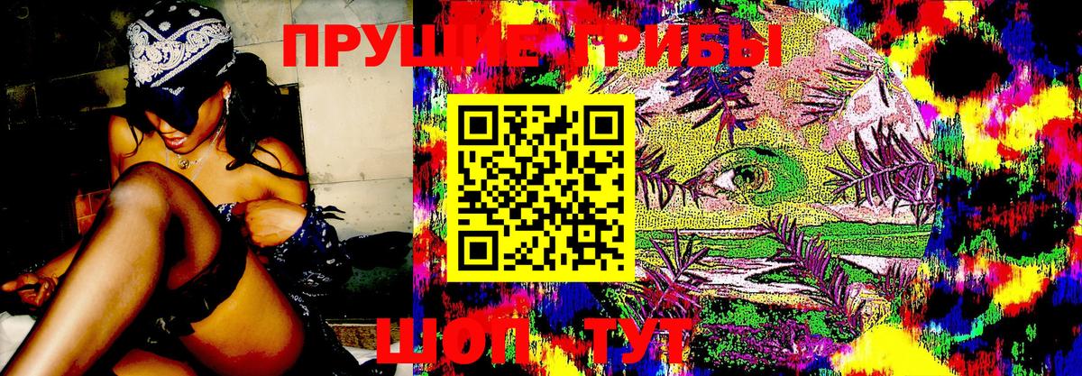 как найти   Псилоцибиновые грибы Psilocybe  Галлюциногенные грибы Magic Shrooms  Вход с VPN  Егорьевск 